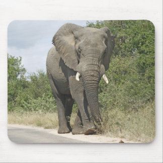 Elephant Mouse Mat