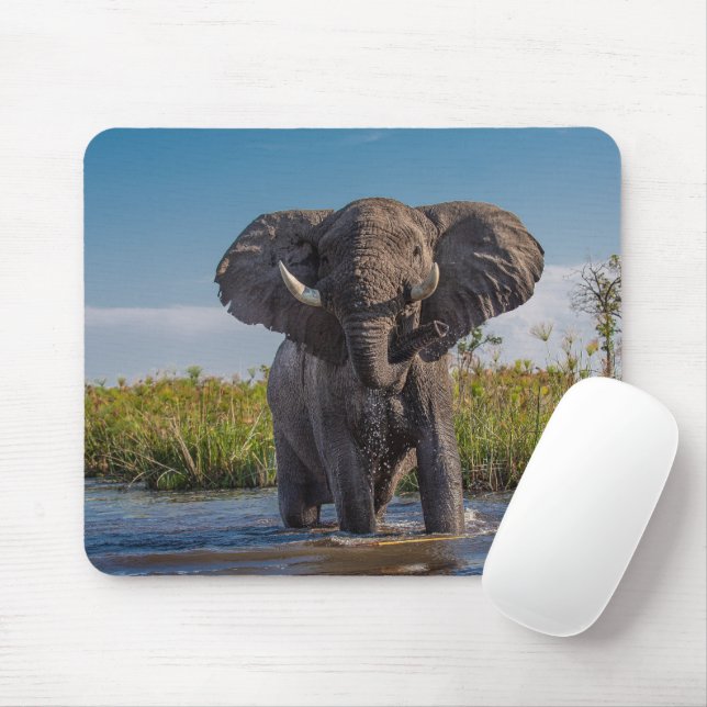 Elephant Mouse Mat (With Mouse)