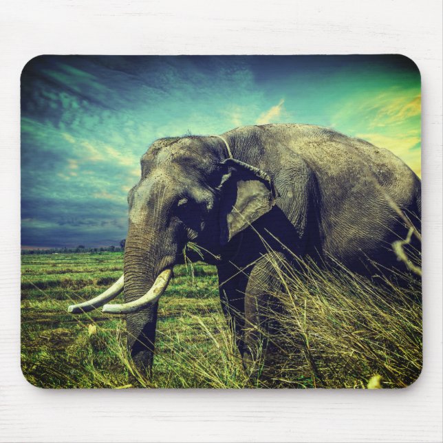 Elephant Mouse Mat (Front)