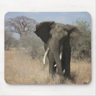Elephant Mousepad