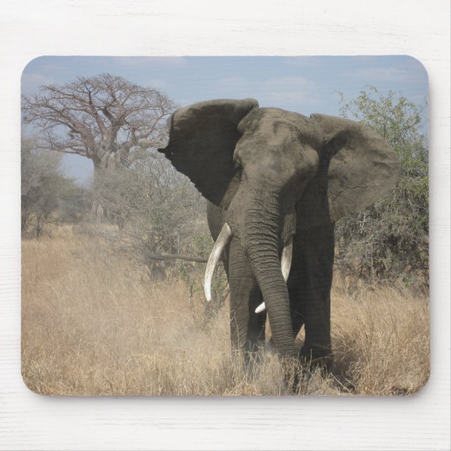 Elephant Mousepad (Front)