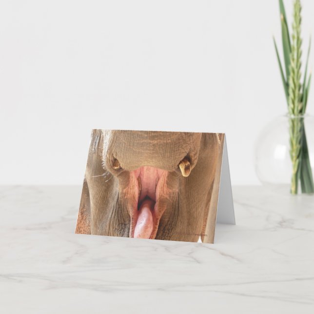 Elephant Mouth Notecard (Front)