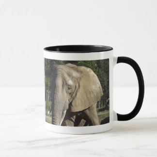 Elephant Mug