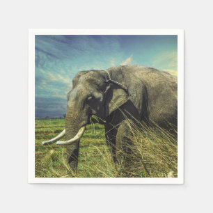 Elephant Napkin