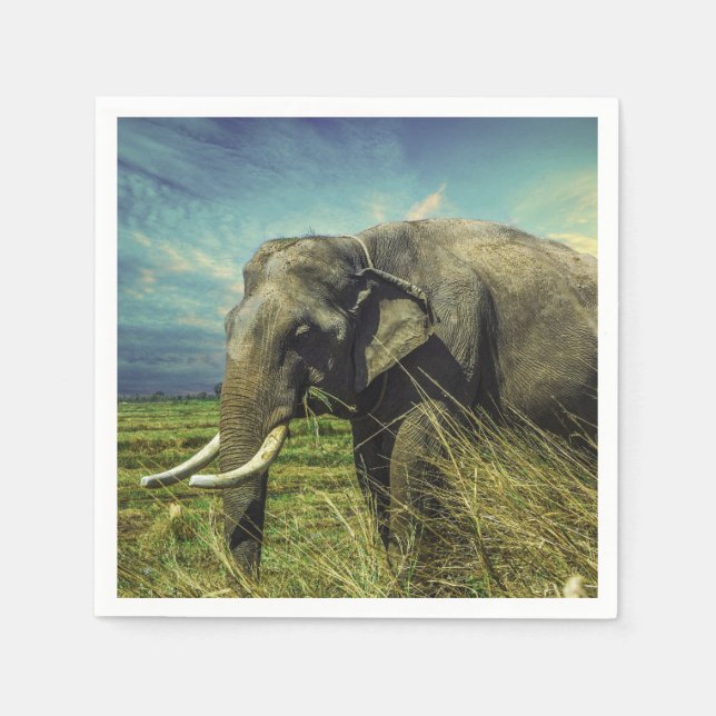 Elephant Napkin (Front)