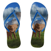 Elephant Oil Paint, Flip Flops