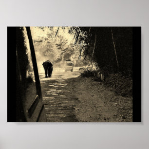 Elephant on a Stroll Poster