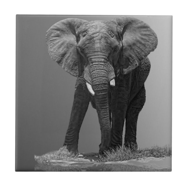 ELEPHANT ON GRADIENT TILE (Front)