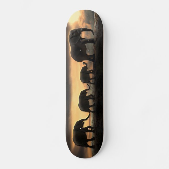 Elephant on Natural Land Bridge Skateboard (Front)