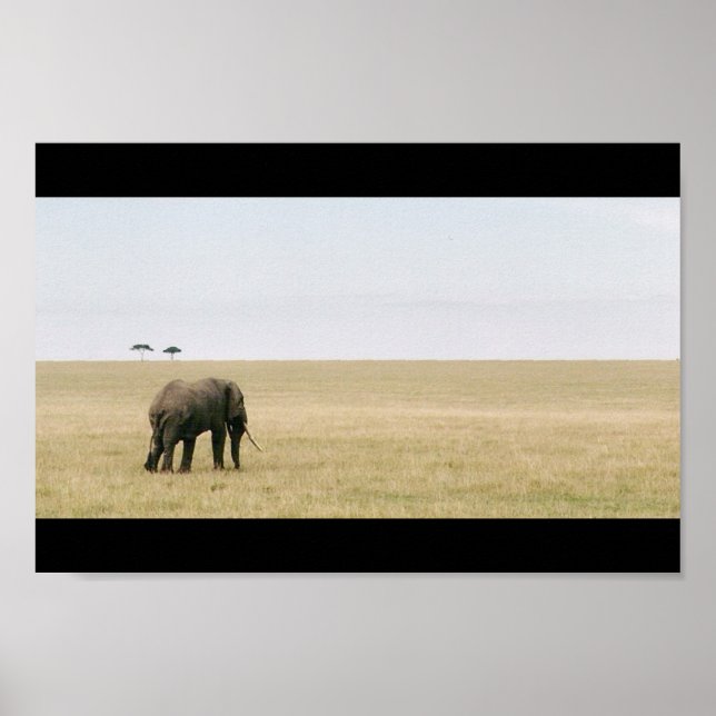 Elephant on the Mara Poster (Front)