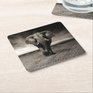 Elephant on the Run Square Paper Coaster