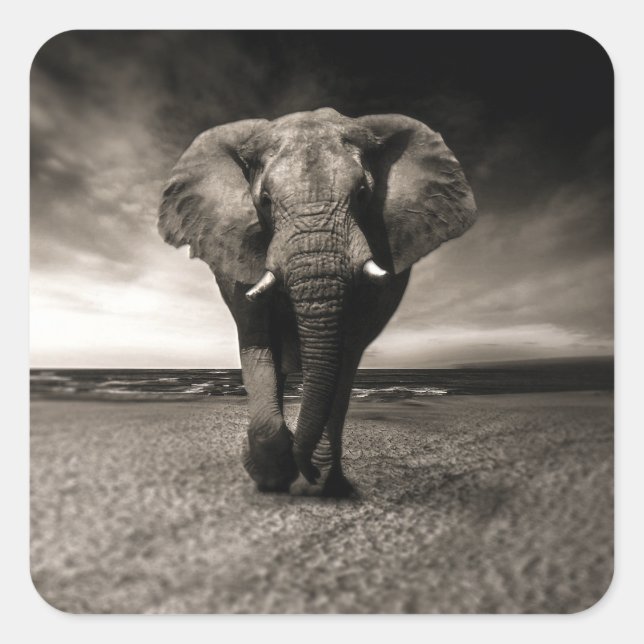 Elephant on the Run Square Sticker (Front)