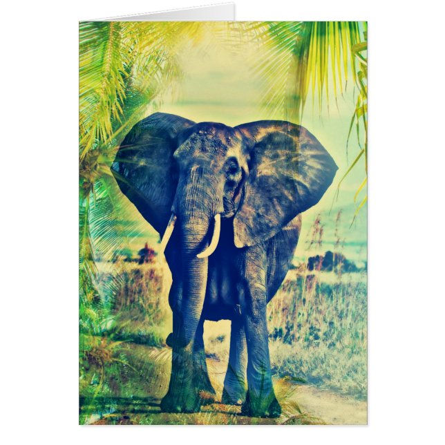 Elephant Palms (Front)