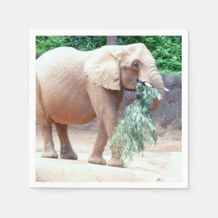Elephant paper napkins