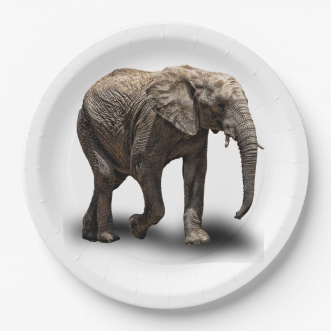 ELEPHANT PAPER PLATE (Front)