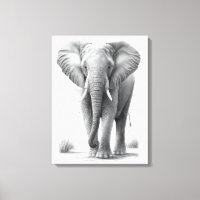 Elephant Pencil Drawing