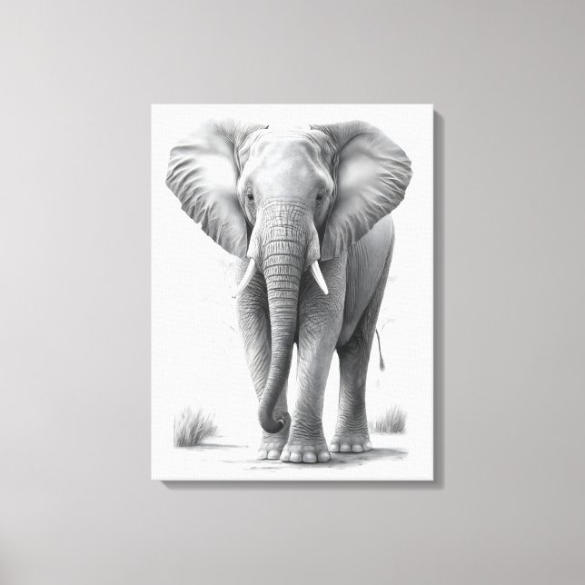 Elephant Pencil Drawing Canvas Print (Front)