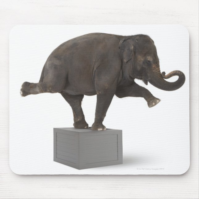 Elephant performing trick on box mouse mat (Front)