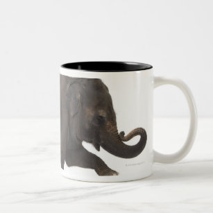 Elephant performing trick on box Two-Tone coffee mug