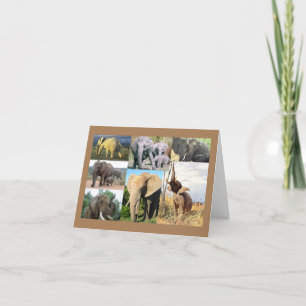 Elephant Photo Holiday Card