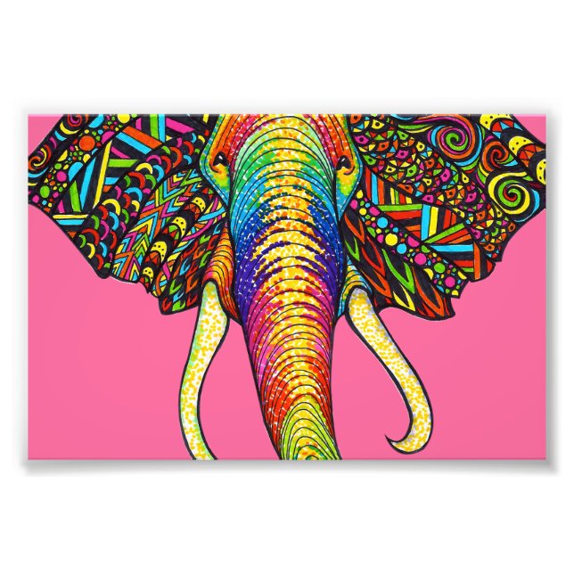Elephant Photo Print (Front)