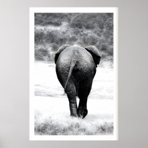 Elephant Photography Print Monochrome Nature Art