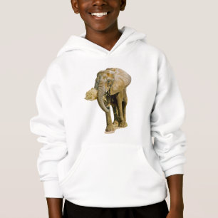 Elephant Picture