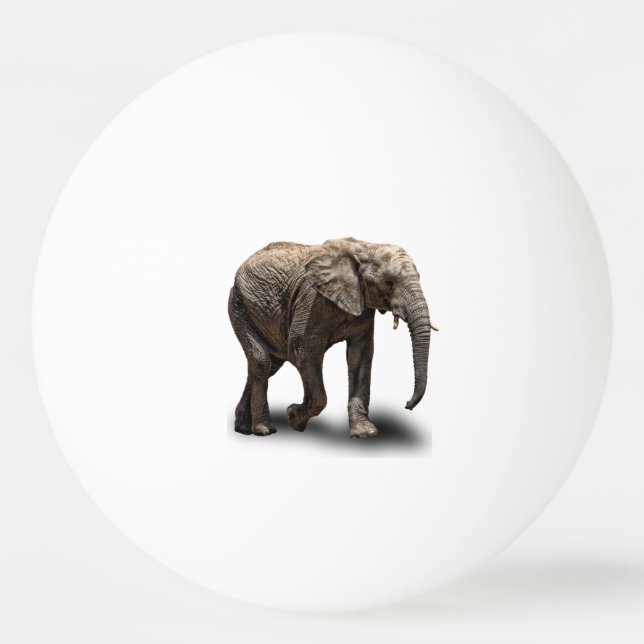 ELEPHANT PING PONG BALL (Front)