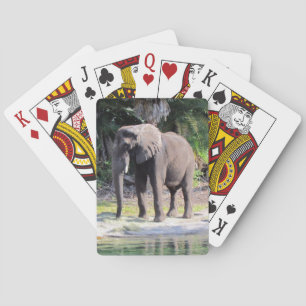 Elephant - Playing Cards