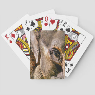 ELEPHANT  PLAYING CARDS