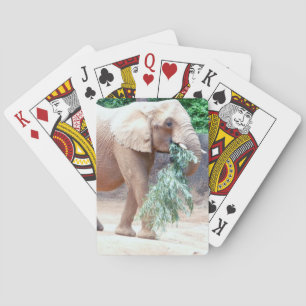 Elephant Playing Cards