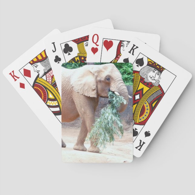Elephant Playing Cards (Back)