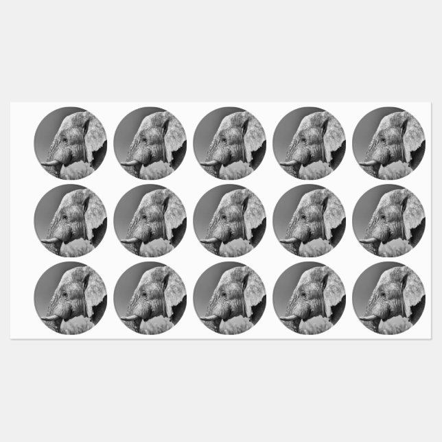 Elephant portrait (Sheet)