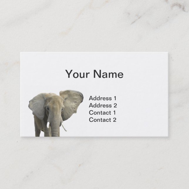 Elephant Portrait Business Cards (Front)