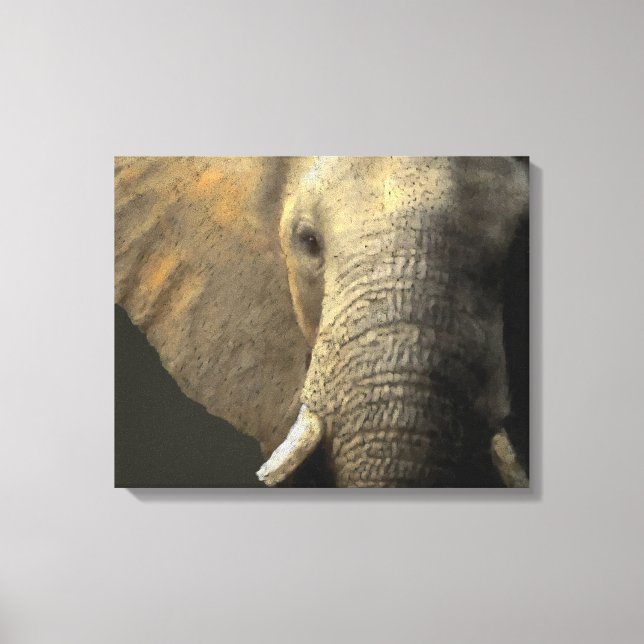 Elephant Portrait Canvas Print (Front)