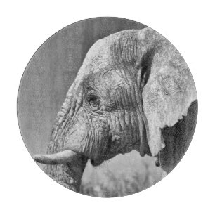 Elephant portrait cutting board