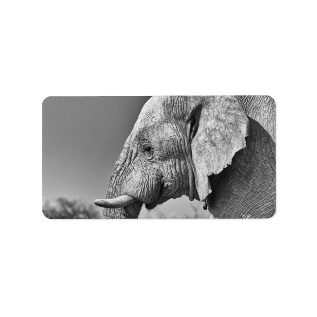 Elephant portrait label (Front)
