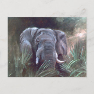 Elephant Portrait Postcard