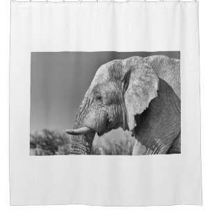 Elephant portrait shower curtain