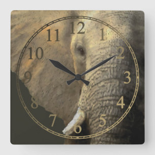Elephant Portrait Square Wall Clock