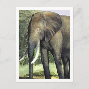 Elephant Postcard
