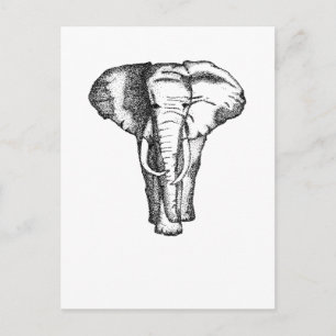 elephant postcard