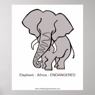 Elephant - poster