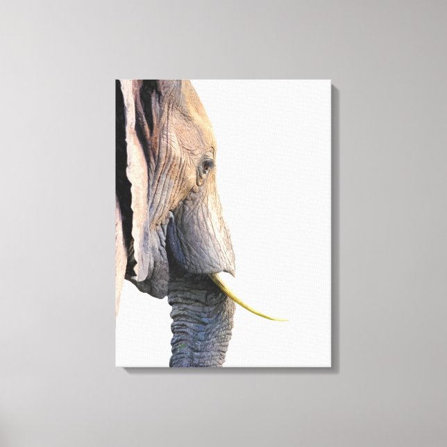 Elephant profile jungle animal portrait canvas print (Front)