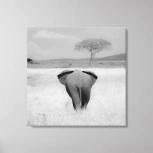 Elephant, rear view Wrapped Canvas
