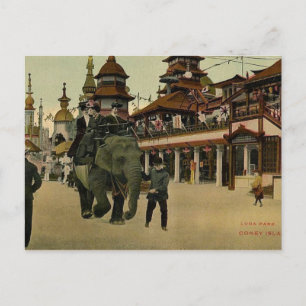Elephant Ride in Luna Park, Coney Island, 1910 Postcard