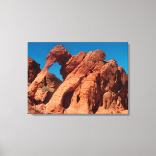 Elephant Rock Canvas Print