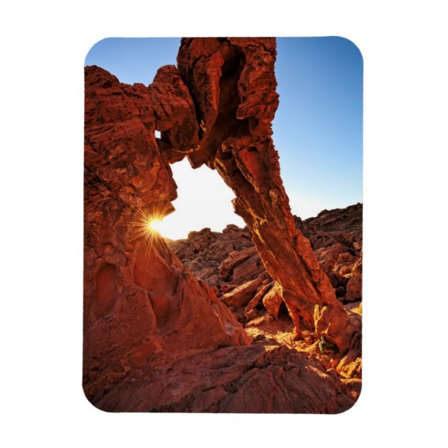 Elephant Rock in the Valley of Fire Magnet (Vertical)