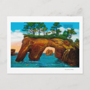 Elephant Rock on Washington Coast Postcard