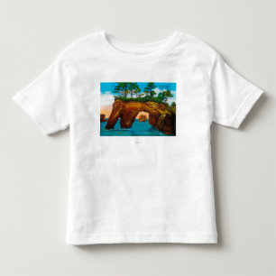 Elephant Rock on Washington Coast Toddler T-Shirt